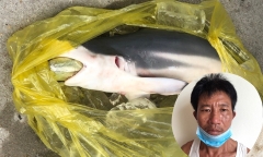Tin tức thời sự mới nóng nhất hôm nay 2/9: Con nghiện cho cá nuốt ma túy hòng qua mặt cơ quan chức năng