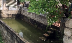 Nghệ An: Rơi xuống ao nhà, bé gái 4 tuổi đuối nước tử vong