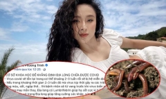 Đăng tin địa long chữa COVID-19, Angela Phương Trinh bị phạt 7,5 triệu đồng