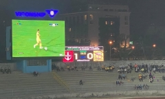 Bị VPF 