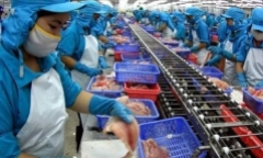 Vợ Phó Chủ tịch Thủy sản Mekong tiếp tục thoái sạch vốn bất thành