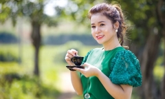 Bà Lê Hoàng Diệp Thảo lấn sân bất động sản