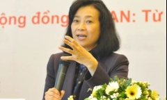 Thanh tra thuế đột xuất Tân Tạo của bà Đặng Thị Hoàng Yến, chuyển công an nếu phát hiện dấu hiệu tội phạm