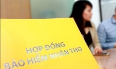 Bộ Tài chính: Sẽ giám sát và xử lý doanh nghiệp bảo hiểm đầu tư bất động sản
