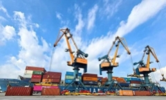 Cổ phiếu HAH giảm kịch sàn sau quyết định xử phạt về thuế