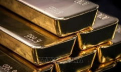 Giá vàng hôm nay ngày 4/10: Vàng trong nước tăng phi mã dù thị trường thế giới tiềm ẩn khủng hoảng