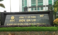 Xử phạt Điện Gia Lai vì vi phạm hành chính thuế