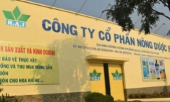 Doanh nghiệp liên quan ông Trịnh Văn Quyết bị xử phạt do 