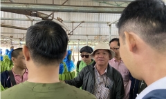 Khoản vay nợ 8.000 tỷ đồng của Hoàng Anh Gia Lai có gì?