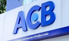 Bắt đáy 