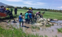 Philippines: Rơi máy bay quân sự, 2 phi công thiệt mạng