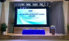 Vì sao ĐHCĐ bất thường của FLC không thành công?