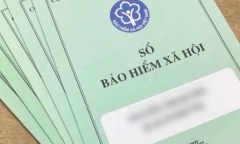 Thanh tra doanh nghiệp chậm đóng bảo hiểm từ 3 tháng