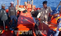 Tàu cá vận chuyển trái phép hơn 20.000 lít dầu DO trên vùng biển Cà Mau
