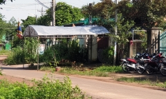 Sang nhà bà nội chơi, bé 8 tuổi bị chó Pitpull cắn tử vong
