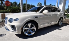 Đổi siêu xe Bentley Bentayga 21 tỉ đồng lấy 2 cây lan đột biến ở Đà Nẵng