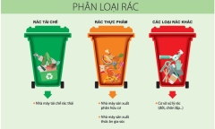 Từ ngày 25/8, không phân loại rác sinh hoạt bị phạt đến 1 triệu đồng
