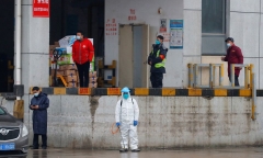Trung Quốc phát hiện virus gây bệnh tả trên người và rùa ở Vũ Hán