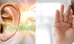 Sau cơn ù tai, nam thanh niên bị điếc đột ngột