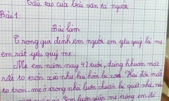 Miêu tả khuôn mặt mẹ 