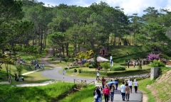 Lâm Đồng: Xử phạt 8 hướng dẫn viên du lịch vì để người nước ngoài “tự hướng dẫn”