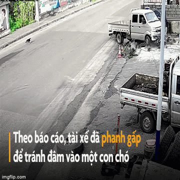 Video: Phanh gấp để tránh chú chó, ô tô mất lái lao thẳng vào nhà dân