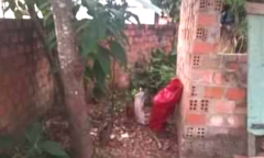Phát hiện thi thể bé trai sơ sinh bị bỏ trong bao tải, để sau vườn nhà dân 
