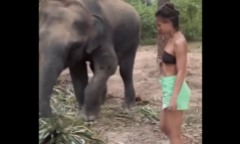 Clip: Cố tình tiếp cận voi rừng, cô gái nhận ngay trái đắng
