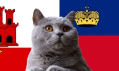 Nhận định soi kèo Liechtenstein vs Gibraltar, Nations League 23h ngày 13/10: Mèo tiên tri tin ai?