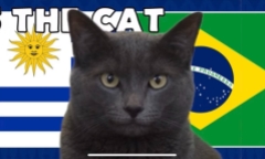Nhận định trận Brazil vs Uruguay, Copa America 2024 8h ngày 7/7: Mèo Cass chọn Uruguay