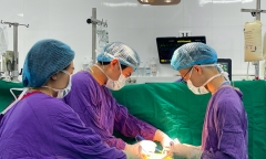 Việt Nam lần đầu ghép đa tạng tim - thận thành công cho một bệnh nhân
