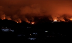 Tây Ban Nha: Cháy rừng tại đảo La Palma, ít nhất 4.000 người phải sơ tán