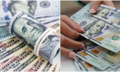 Tỷ giá USD hôm nay 14/9: Đồng USD trong nước tăng