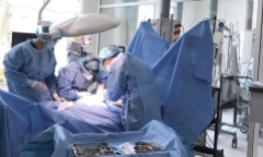 Bị ong đốt hơn 15 vết, bé trai nguy kịch phải chạy ECMO, lọc máu liên tục