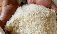 Khởi tố cựu trưởng thôn 