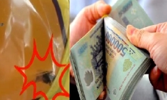 Giải mật chuyện “con ruồi nửa tỷ” khuynh đảo đại gia Tân Hiệp Phát