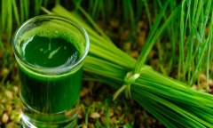 Những loại nước ép tốt cho người bệnh đái tháo đường
