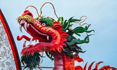 Lộ diện linh vật rồng 