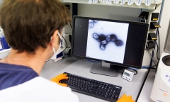 EU phê duyệt vaccine phòng đậu mùa khỉ của Bavarian Nordic