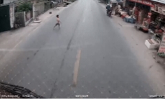 Clip: Thót tim cảnh tài xế đạp phanh 