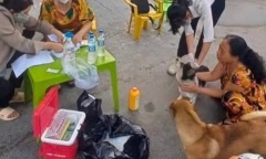 Chó thả rông chạy vào chợ, cắn 3 người ở Phan Thiết