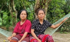 Xác minh thông tin hổ lớn xuất hiện trong rừng Đìu Đo, Quảng Bình