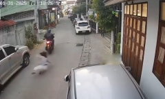 Clip: Khoảnh khắc tên cướp táo tợn giật túi xách, kéo ngã người phụ nữ giữa phố