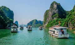 Bỏ túi kinh nghiệm du lịch Hạ Long chi tiết nhất