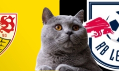 Dự đoán kết quả trận Stuttgart vs RB Leipzig, Bundesliga 2h30 ngày 16/1: Mèo tiên tri do dự