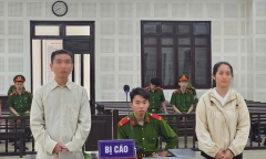 Sản xuất chả bằng hàn the, cặp vợ chồng lĩnh án