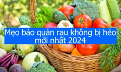 Mẹo bảo quản rau không bị héo mới nhất 2024