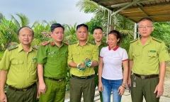 Động vật quý hiếm bất ngờ xuất hiện trong vườn nhà dân ở Hà Tĩnh