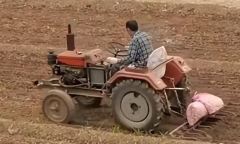Dù đã góa vợ 9 năm, nhưng chàng rể vẫn đều đặn làm việc này cho bố mẹ vợ