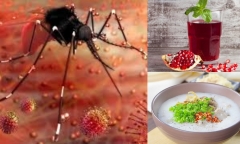 Chuyên gia lưu ý những thực phẩm người mắc sốt xuất huyết nên và không nên ăn